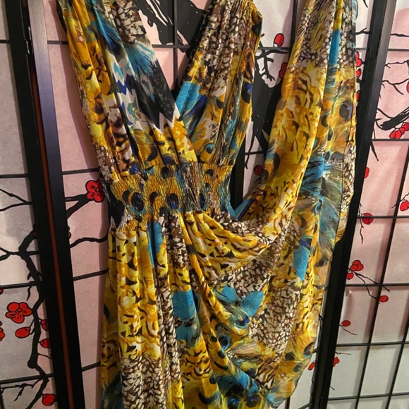 Peacock chiffon dress with full lining - Picture 3 of 3